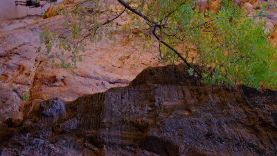DSCF3885.JPG