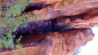 DSCF3894.JPG