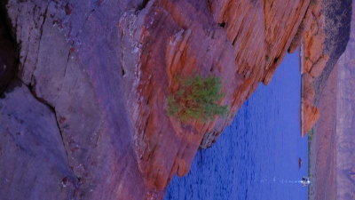 DSCF3990.JPG