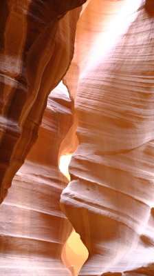 DSCF4274.JPG