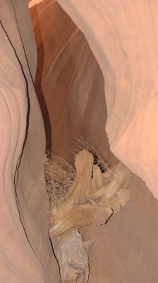 DSCF4299.JPG