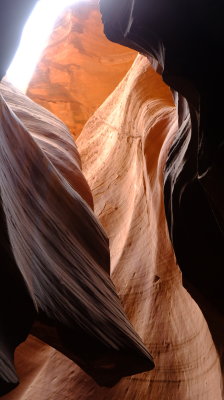 DSCF4337.JPG