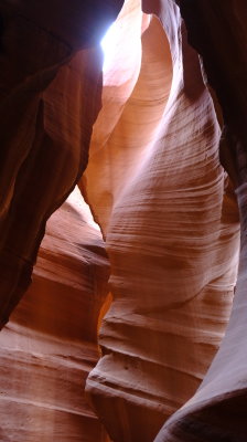 DSCF4338.JPG