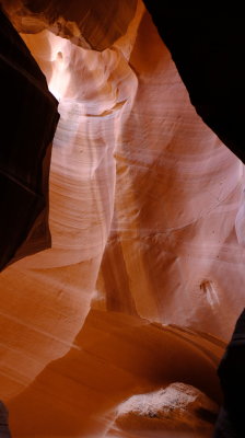 DSCF4339.JPG