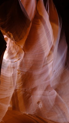DSCF4340.JPG