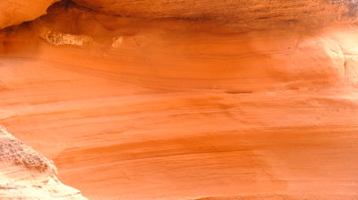 DSCF4370.JPG