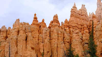 DSCF4478.JPG