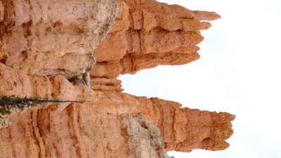 DSCF4488.JPG