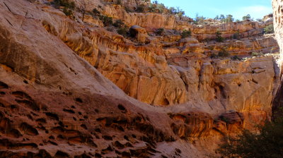 DSCF5117.JPG