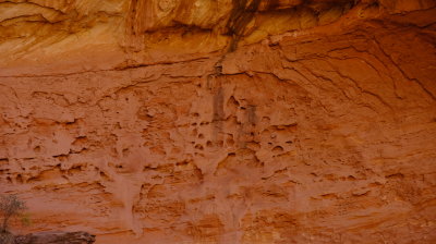 DSCF5118.JPG