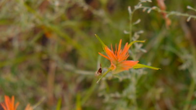 DSCF5125.JPG