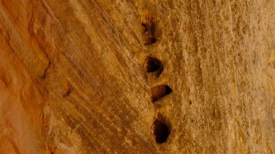 DSCF5129.JPG