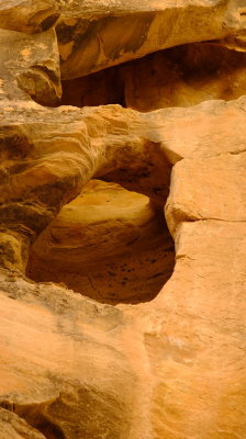 DSCF5133.JPG