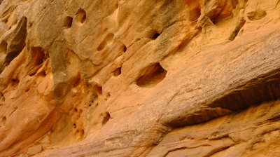DSCF5137.JPG