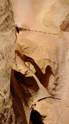 DSCF5141.JPG