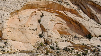 DSCF5159.JPG