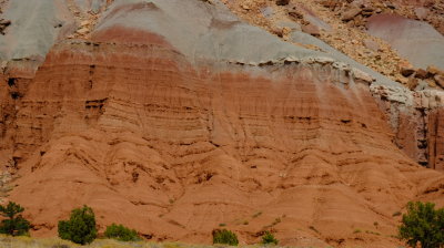 DSCF5196.JPG