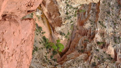 DSCF5231.JPG