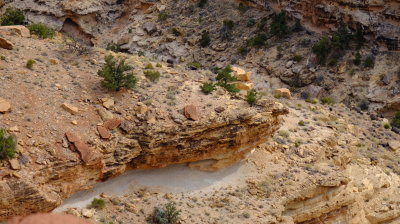 DSCF5240.JPG