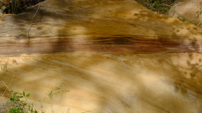 DSCF5258.JPG