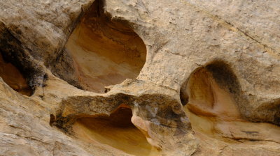 DSCF5281.JPG