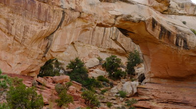 DSCF5291.JPG