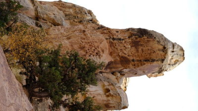 DSCF5293.JPG