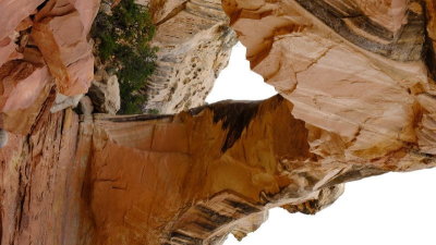 DSCF5294.JPG