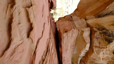 DSCF5313.JPG