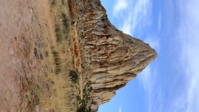 DSCF5320.JPG