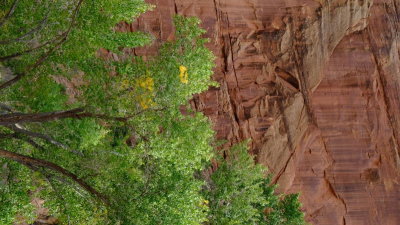 DSCF5328.JPG