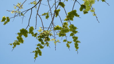 DSCF2121.JPG
