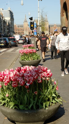 DSCF2155.JPG