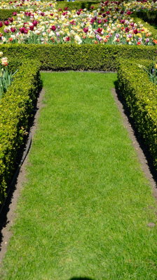 DSCF2267.JPG