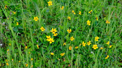 DSCF6203.JPG
