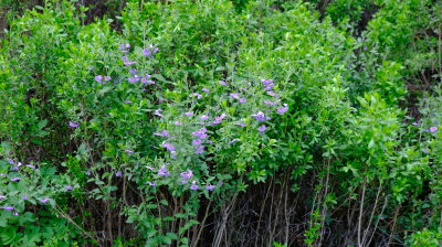DSCF6205.JPG