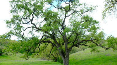 DSCF6207.JPG