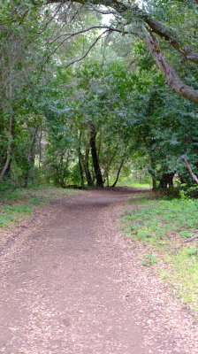 DSCF6211.JPG