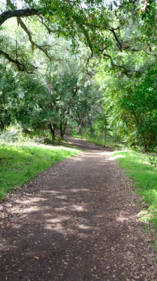 DSCF6214.JPG