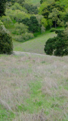 DSCF6220.JPG
