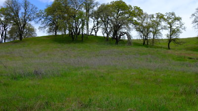 DSCF6231.JPG