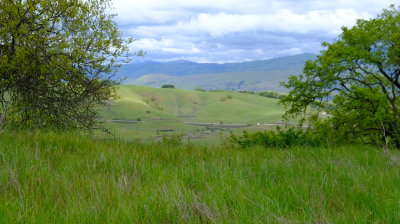 DSCF6235.JPG