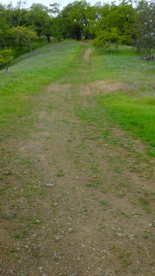 DSCF6238.JPG