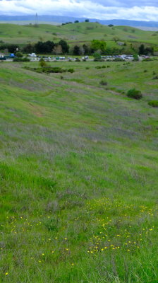 DSCF6252.JPG