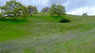 DSCF6254.JPG