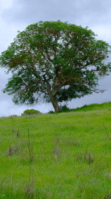 DSCF6258.JPG