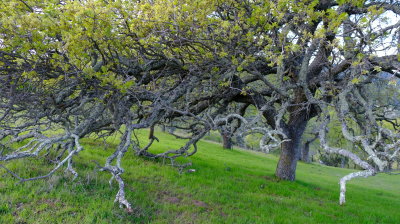 DSCF6318.JPG