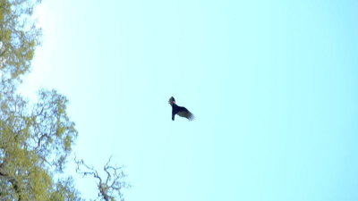 DSCF6325.JPG