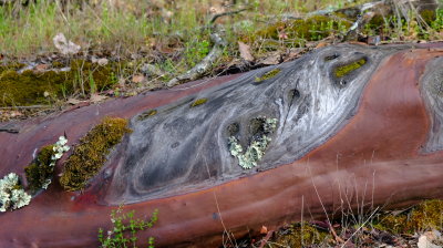 DSCF6338.JPG