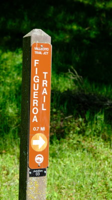 DSCF6453.JPG